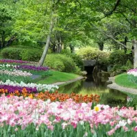 Plantation (Arbres, Arbustes, Fleurs Saisonnières)